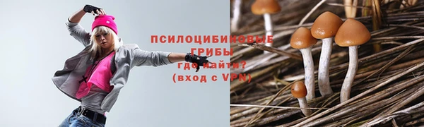марки lsd Балахна