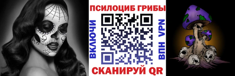 закладка  Каспийск  блэк спрут зеркало  Псилоцибиновые грибы Psilocybine cubensis 