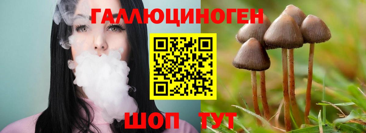 Галлюциногенные грибы GOLDEN TEACHER  продажа наркотиков  Псилоцибиновые грибы GOLDEN TEACHER  Каспийск  Вход с VPN 